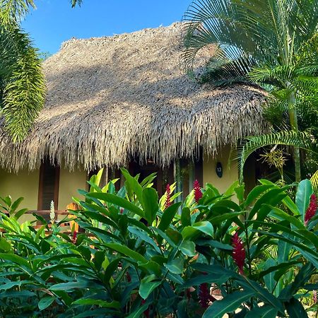Senda Koguiwa Hotel El Zaino Bagian luar foto