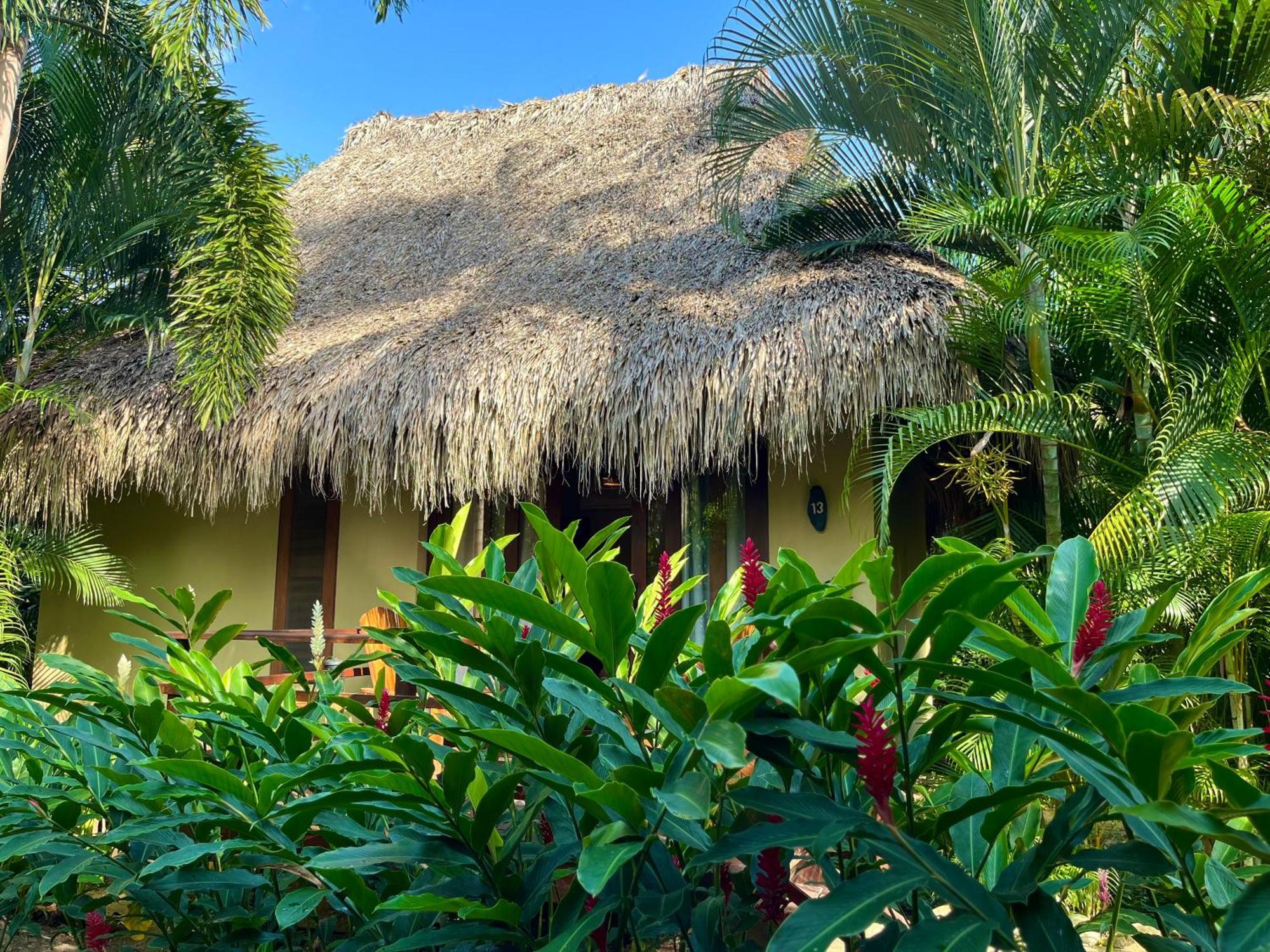 Senda Koguiwa Hotel El Zaino Bagian luar foto